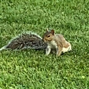 Meet your Posher, Sabrina